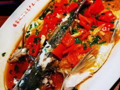 翘嘴鲌鱼-丹江渔村(望京店)