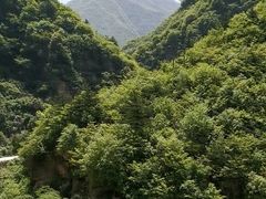 -秦岭风景区
