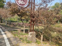 -南京市江宁方山