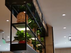 -阿琴面馆(武林路店)