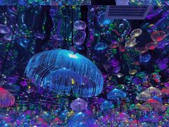 -天津梵高星空艺术馆(天河城旗舰店)