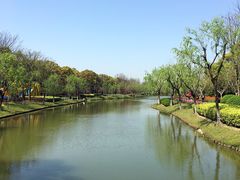 -上海鲜花港