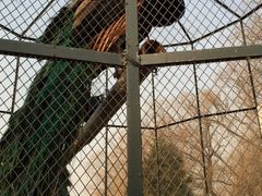 月亮河温泉度假酒店-月亮河温泉度假酒店