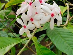 -北京植物园-展览温室