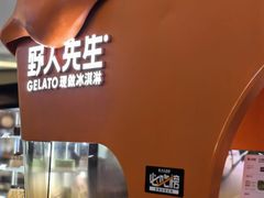 -野人先生现做冰淇淋(北京王府井东方新天地店)
