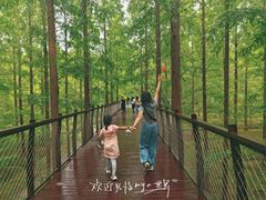 -黄海国家森林公园