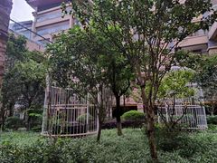 -大理实力希尔顿酒店御璽中餐厅YUXI – CHINESE RESTAURANT