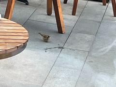 -星巴克臻选(杭州嘉里中心1F店)