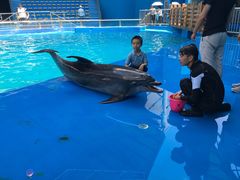 -石林冰雪海洋世界