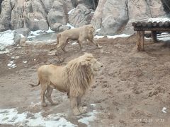 -郑州银基国际旅游度假区