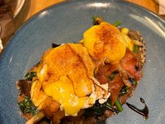 班尼迪克-JamaicaBlue(新城国际店)