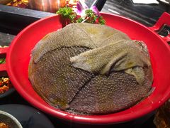 -二荆条·蜀鲜汇城市森林火锅