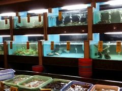 -五四北海鲜吧火锅(秀山路店)