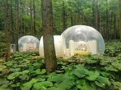 -洛阳白云山景区