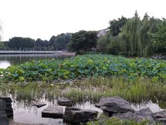 -西南政法大学(渝北校区)