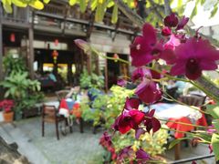 -Dash Teak House