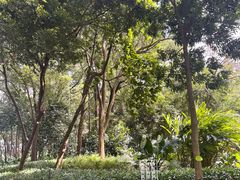 -云溪植物园
