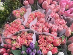-双季花艺园艺市场(浦东店)