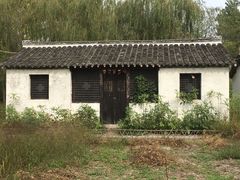 -溱湖国家湿地公园