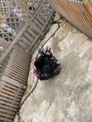 -三分地生态园·儿童乐园