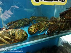 -港畔赶海蒸汽海鲜烧烤自助(仙螺岛店)