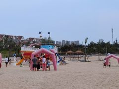 -九龙湖公园