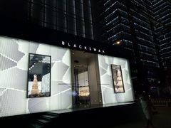 -BLACKSWAN黑天鹅(环球店)