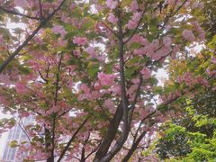 -木塔寺遗址生态公园