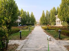 -马家湾湿地公园