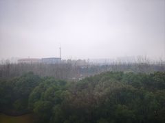 -常州环球恐龙城维景国际大酒店
