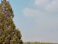 -素心小筑(后沙裕镇店)