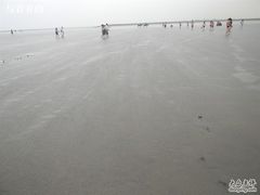 -碧海金沙