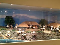 泰迪熊博物馆-济州岛泰迪熊博物馆