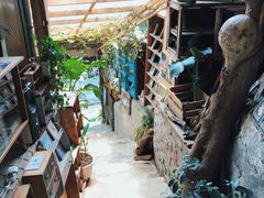 -懒鱼时光馆(沙坪坝店)