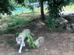 -西安秦岭野生动物园