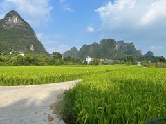 -广悦华阳朔河畔度假酒店(十里画廊遇龙河店)