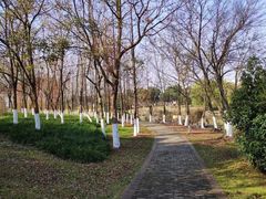 -九里河湿地公园