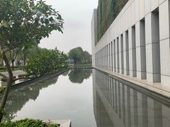 -中共上海市委党校 上海行政学院