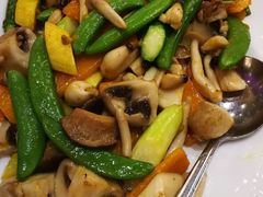 蘑菇扒时疏-乙龍天