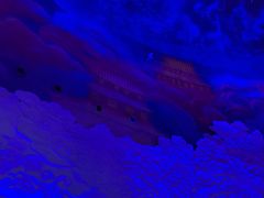 -青岛东方影都融创电影世界