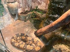 -上海大自然野生昆虫馆(东方明珠·爬宠昆虫探索中心)