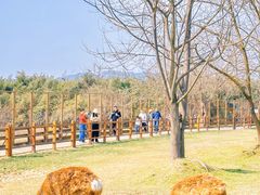 -良渚古城遗址公园