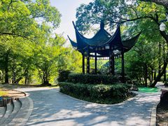 -东湖落雁景区