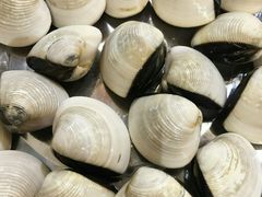 -丰尔粥食·粥底火锅·桑拿鸡(大良总店)