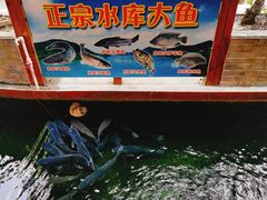 -侠成水上农庄(工业大道店)