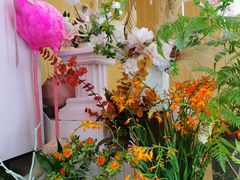 -蝶舍·MAISON PAPILLON