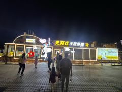 -珠江夜游省总码头