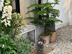 -自由生长植物工作室(深港花卉中心店)