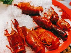 冰镇小龙虾-红辣椒·川菜·火锅(科华路店)