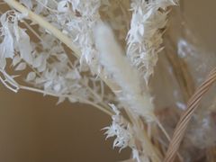 -伊斯坦布尔土耳其清真咖啡餐厅